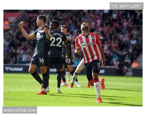 深圳排球队以56分领跑洲际杯积分榜展现强劲实力